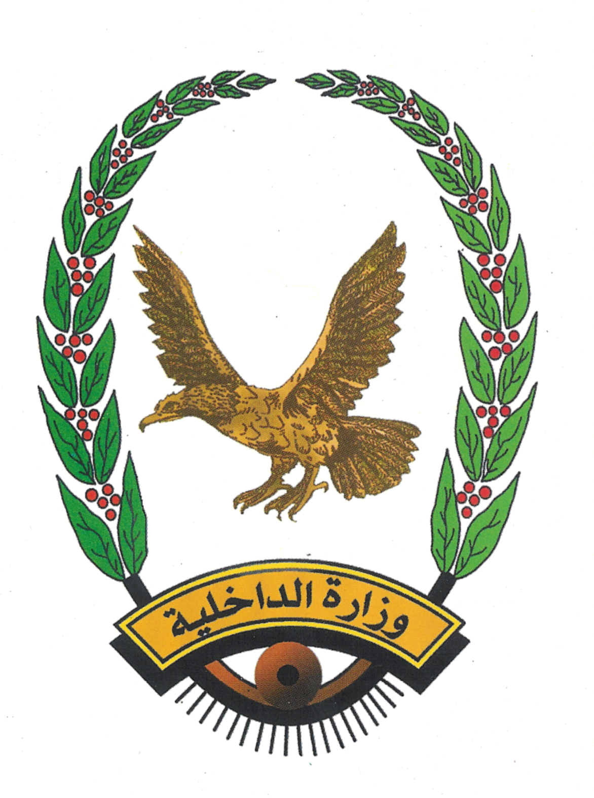 تصريح هام لـ«وزارة الداخلية» بشأن تهديدات الذراع الأيمن لـ«شلال شايع»